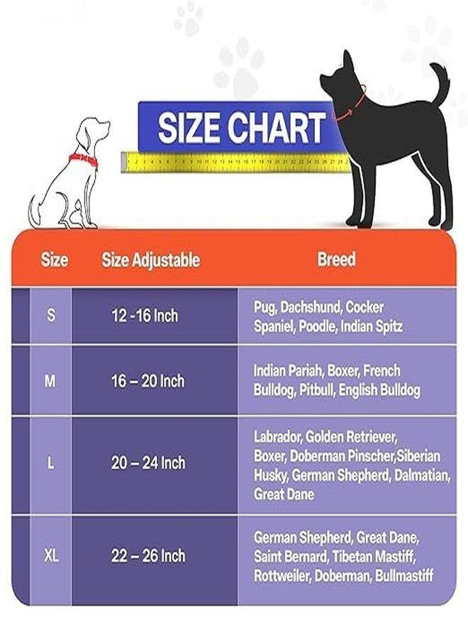 ADIL'S Adil’s Leather Dog Collar 32mm with Spike, Adjustable Metal Buckle Studded Collars for Small, Medium, & Large Dog with D Ring, Width (1”,1.5”,1.25”) Size (14 to 28 in),Black (Brown, L(20"-24")) - Image 5
